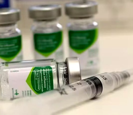 Caso de gripe K é identificado no Brasil, aponta ministério; vírus é variante do influenza A (H3N2) já conhecido