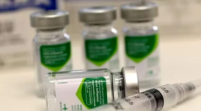 É fake news que vacina da dengue do Butantan foi aplicada como ‘experimento’ e usou população como ‘cobaia’