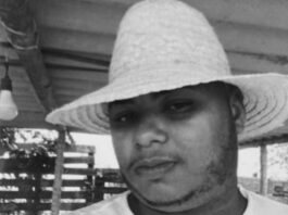 Grave acidente com caminhão de frango é registrado na BR-101, trecho de Santo Antônio de Jesus; jovem que morreu no local foi identificado pela polícia; veja
