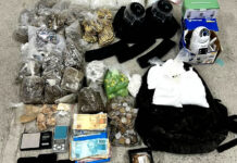 Cipe Recôncavo apreende cerca de 900 munições de fuzil, carregadores e grande quantidade de drogas na Ilha de Itaparica; ação realizada em Berlinque, diz PM