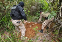Operação conjunta do MP e da SSP identifica cemitério clandestino no sul da Bahia e ocultação de cadáveres