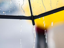 Veja: Frente fria derruba temperaturas e coloca 371 cidades da Bahia sob alerta; perigo potencial prevê queda de até 5°C