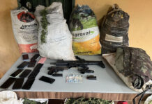 Cinco homens morrem e dez são presos em operação na Bahia; bunkers com três toneladas de maconha são encontrados
