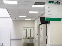 Quinze pessoas ficam feridas após ataque de abelhas na Bahia e foram levadas a Unidade de Pronto Atendimento