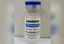 Polilaminina: a molécula descoberta no Brasil ‘por acaso’ que virou esperança para reverter lesões na medula