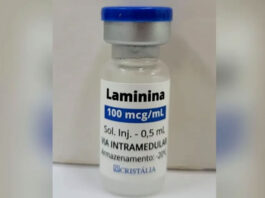 Polilaminina: a molécula descoberta no Brasil ‘por acaso’ que virou esperança para reverter lesões na medula