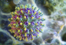 Nipah: vírus volta a preocupar saúde global após casos na Índia, mas sem cenário de novo surto; veja mais detalhes