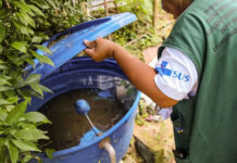 Medida já está em vigor: Bahia autoriza entrada forçada para combate à dengue em imóveis públicos e privados; confira