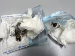 Dentista é presa em flagrante após entregar drogas escondidas em pacote de gaze para detento na Bahia