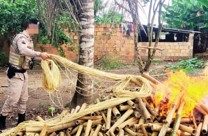 fogos