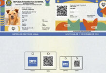 Mais de 1 milhão de pets ganham carteira de identidade no Brasil; cadastro de animais criado pelo governo federal