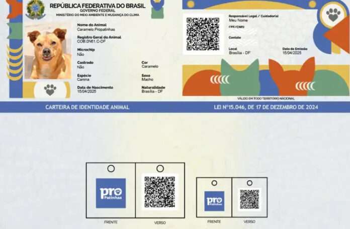 pata