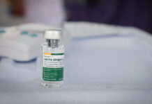 Vacina brasileira contra a dengue mantém eficácia por até cinco anos; estudo do Butantan mostra proteção de 80%