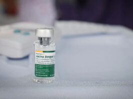 Vacina brasileira contra a dengue mantém eficácia por até cinco anos; estudo do Butantan mostra proteção de 80%