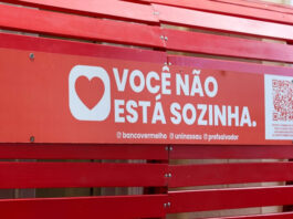 A cada seis horas, uma mulher é vítima de feminicídio no Brasil, é o que aponta dados destacados pelo MP baiano; veja