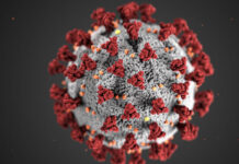 Boletim InfoGripe: Mortes por supergripe sobem 36,9% e Fiocruz aciona alerta para avanço da Influenza A no Brasil