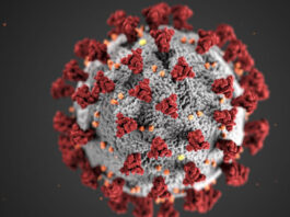 Boletim InfoGripe: Mortes por supergripe sobem 36,9% e Fiocruz aciona alerta para avanço da Influenza A no Brasil
