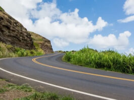 Seinfra fecha contrato de R$ 9,4 milhões de reais para estruturar concessão de 1.024 km de rodovias na Bahia