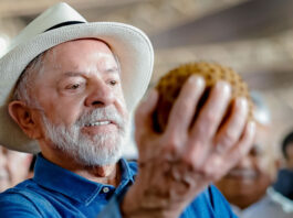 Lula diz que vai levar jabuticaba para Trump para ‘acalmá-lo’; país vive momento de tensão com Estados Unidos