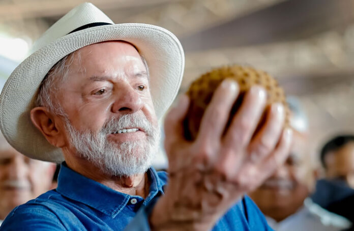 lula