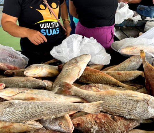 “É uma tradição na cidade”, diz ex-prefeito Ito de Bega sobre distribuição de peixe na Semana Santa em Conceição do Almeida; confira os detalhes