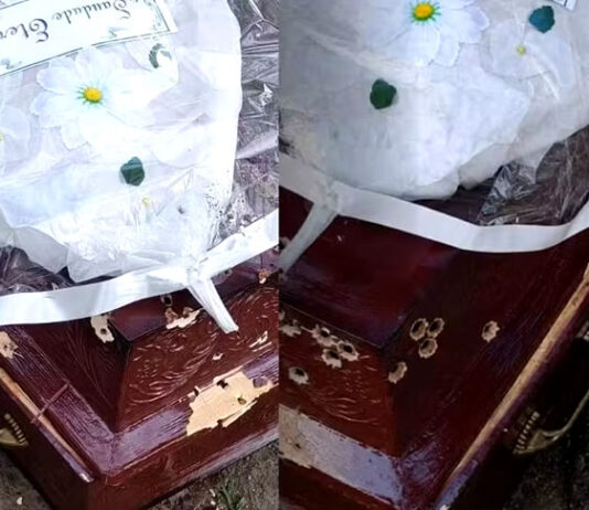 Um dos suspeitos de invadir cemitério e atacar caixão de jovem a tiros morre em confronto com policias na Bahia; confira