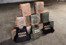PF apreende 300 kg de cocaína no interior da Bahia