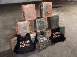 PF apreende 300 kg de cocaína no interior da Bahia