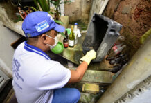 Dengue: seis cidades baianas vivem situação de epidemia