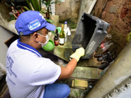 Dengue: seis cidades baianas vivem situação de epidemia