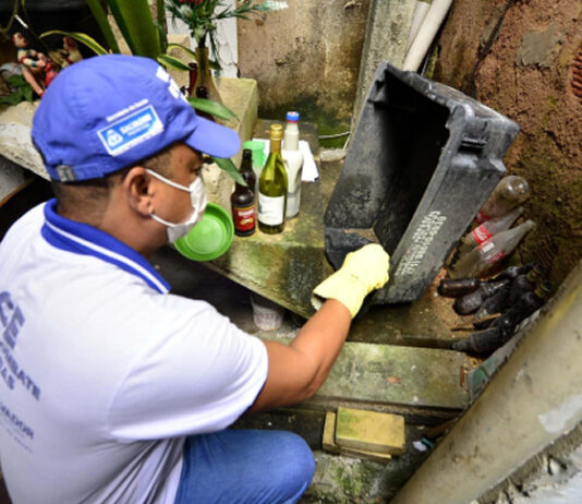Dengue: seis cidades baianas vivem situação de epidemia