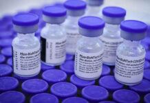 É Fake News que Pfizer listou infecção por hantavírus como efeito colateral de vacina contra a Covid-19; veja mais