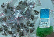 Polícia Militar apreende 61 papelotes de maconha durante operação contra o tráfico em Valença