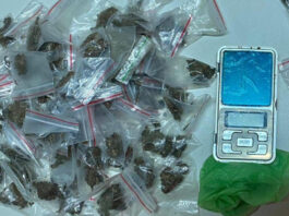 Polícia Militar apreende 61 papelotes de maconha durante operação contra o tráfico em Valença
