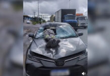 Homem morre após cair de passarela e ser atingido por veículo na BR-324
