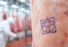 Para que serve o carimbo na carne? Preciso tirar antes de comer? Saiba o que ele significa e sua obrigatoriedade