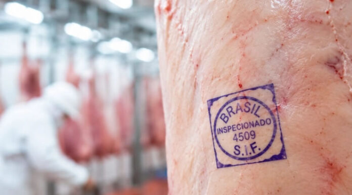 Para que serve o carimbo na carne? Preciso tirar antes de comer? Saiba o que ele significa e sua obrigatoriedade