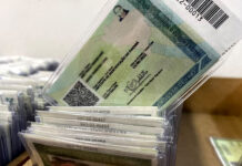 Bahia já emitiu cerca de 4 milhões de novas carteiras de identidade; plano do governo federal é criar um novo sistema