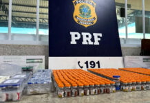 Ônibus é interceptado com drogas e centenas de medicamentos na Bahia; coletivo saiu de São Paulo