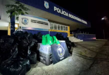 PRF: Mais de 1,6 tonelada de drogas é apreendida em caminhão carregado com caixas de verduras na Bahia
