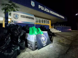 PRF: Mais de 1,6 tonelada de drogas é apreendida em caminhão carregado com caixas de verduras na Bahia