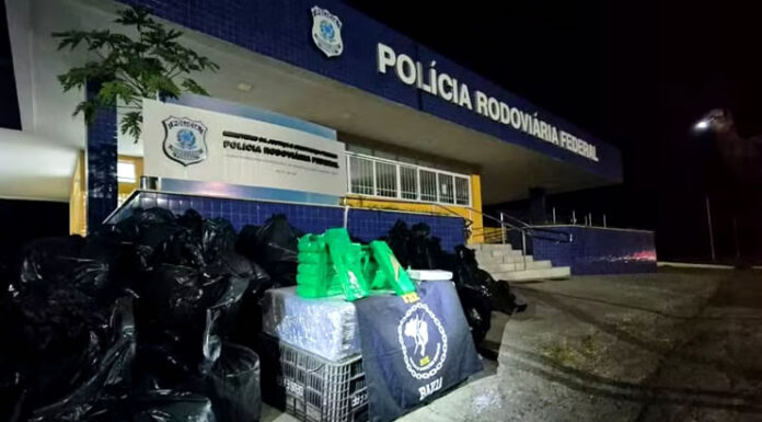 PRF: Mais de 1,6 tonelada de drogas é apreendida em caminhão carregado com caixas de verduras na Bahia