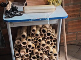 Veja: Operação apreendeu 365 espadas semiprontas e desmonta estrutura de fabricação clandestina com artefatos explosivos na zona rural de Cruz das Almas