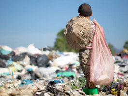 Mais de 4,3 mil crianças foram tiradas do trabalho infantil em 2025, aponta o Ministério do Trabalho e Emprego