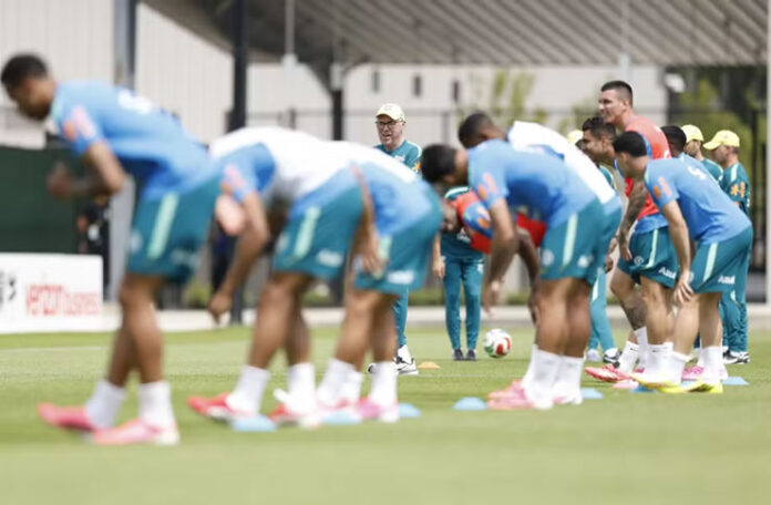 seleção