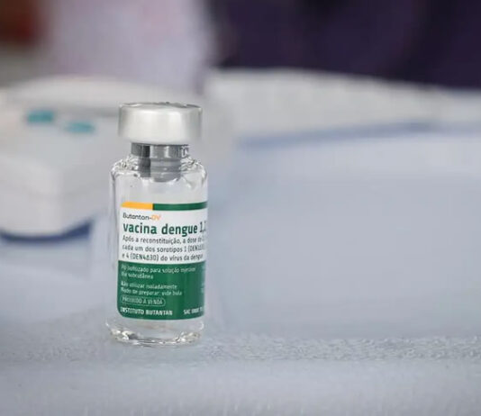 Butantan mantém estudo sobre a vacina da dengue em idosos: MS já suspendeu imunização após eventos adversos; veja
