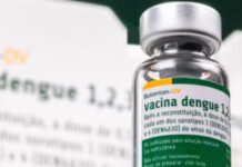 Anvisa cria grupo para investigar vacina da dengue do Butantan após relatos de mortes e eventos adversos graves