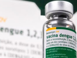 Anvisa cria grupo para investigar vacina da dengue do Butantan após relatos de mortes e eventos adversos graves