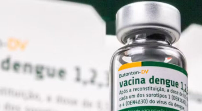 Anvisa cria grupo para investigar vacina da dengue do Butantan após relatos de mortes e eventos adversos graves