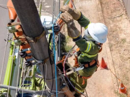 ‘Gatonet’: mais de 640 toneladas de cabos de telefonia e internet instalados irregularmente em postes são apreendidos na BA